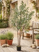 עץ זית מלאכותי בעציץ שחור