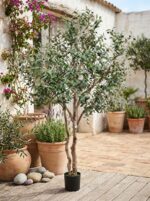 עץ זית מלאכותי בעציץ שחור