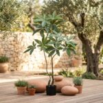 עץ מלאכותי בעציץ שחור