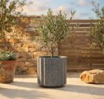 עציץ פלסטיק אפור דגם VERONA