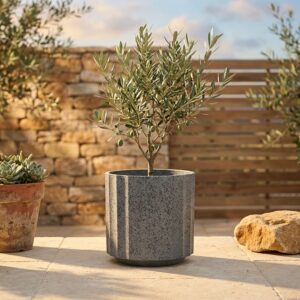 עציץ פלסטיק אפור דגם VERONA