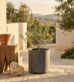 עציץ מנוקד אפור