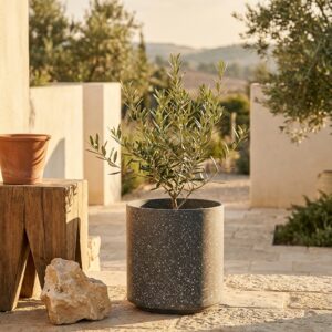 עציץ מנוקד אפור