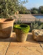 עציץ נייר דמוי טחב