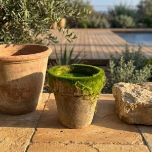 עציץ נייר דמוי טחב