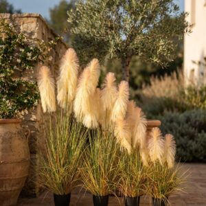 קנה סתווי מלאכותי בעציץ